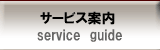 �T�[�r�X�ē�