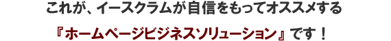 これがイースクラムが自信をもってオススメする『ホームページ』ビジネスソリューション』です！